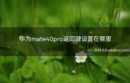 华为mate40pro返回键设置在哪里(华为mate40pro返回键设置在哪里的具体操作步骤)