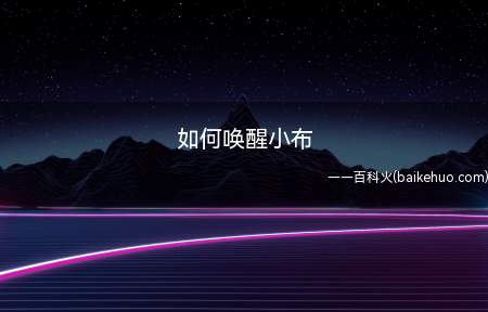 如何唤醒小布(如何唤醒小布的具体操作步骤)