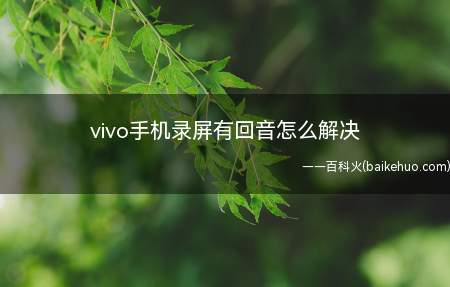 vivo手机录屏有回音怎么解决(vivo手机录屏有回音怎么解决的具体操作步骤)