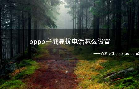 oppo拦截骚扰电话怎么设置(oppo拦截骚扰电话怎么设置的具体操作步骤)