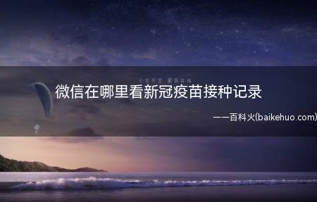微信在哪里看新冠疫苗接种记录(演示机型:Iphone 12)