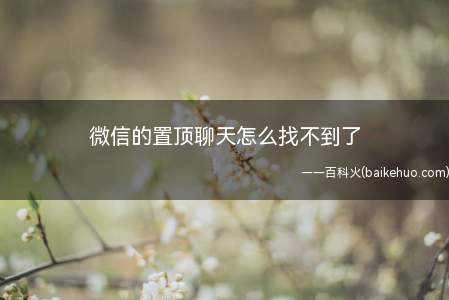 微信的置顶聊天怎么找不到了(演示机型:Iphone 12)