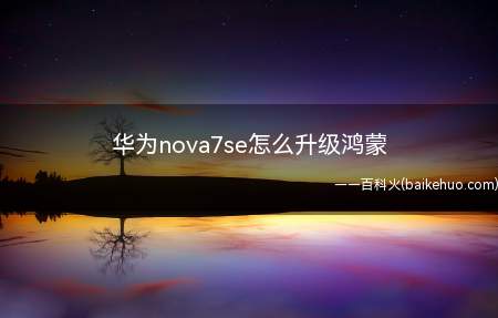 华为nova7se怎么升级鸿蒙（华为nova 7 SE系统）