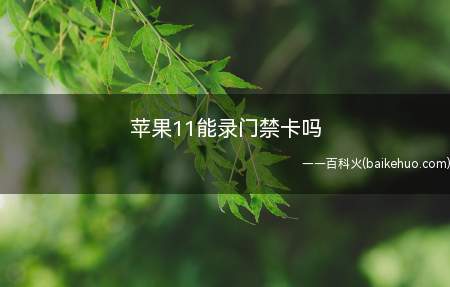 苹果11能录门禁卡吗（苹果11能录门禁卡吗的具体操作步骤）