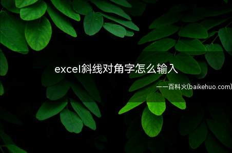 excel斜线对角字怎么输入（ASUS S340MC系统）