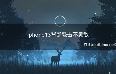 iphone13背部敲击不灵敏