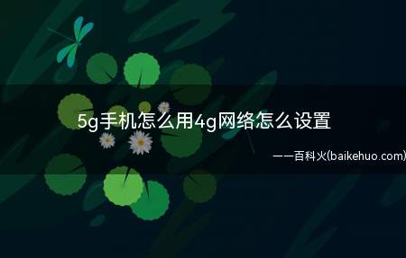 5g手机怎么用4g网络怎么设置(演示机型:Iphone 12)