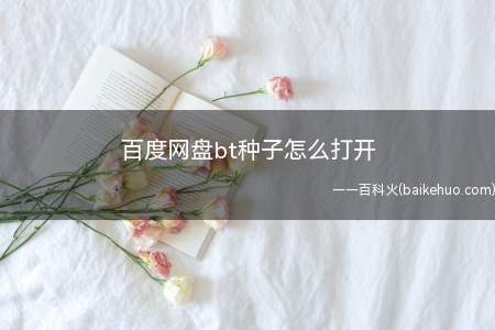百度网盘bt种子怎么打开(ASUS S340MC系统)