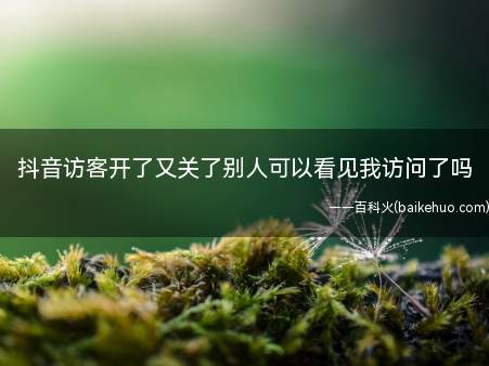 抖音访客开了又关了别人可以看见我访问了吗