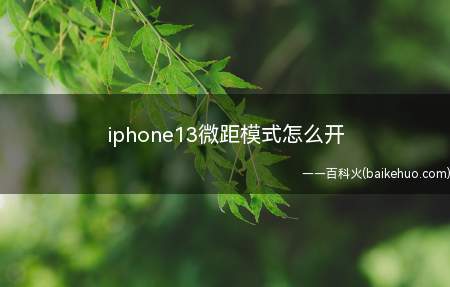 iphone13微距模式怎么开（iPhone13Pro系列支持微距拍摄）