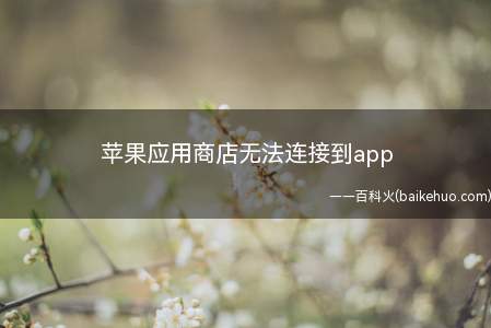 苹果应用商店无法连接到app（iPhone12系统下载）