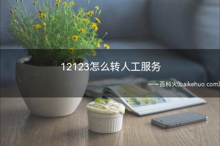12123怎么转人工服务(华为Mate40 Pro系统)