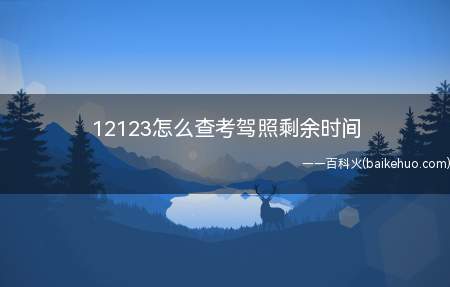 12123怎么查考驾照剩余时间(华为Mate40 Pro系统)