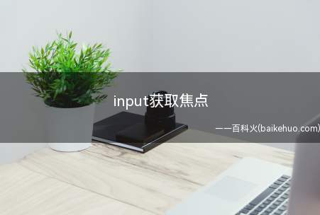 input获取焦点（如何让input获取焦点?）