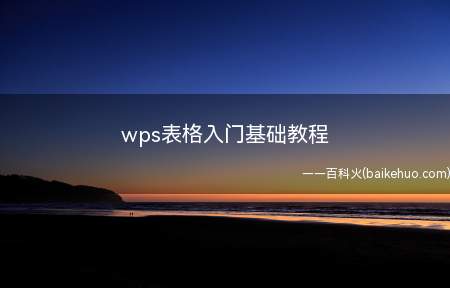 wps表格入门基础教程(ASUS S340MC系统)