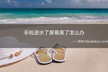 手机进水了屏幕黑了怎么办（iPhone 12,华为Mate40 Pro,小米11系统）