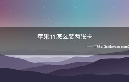 苹果11怎么装两张卡(苹果11装两张卡总共需要4个步骤,具体的操作步骤)