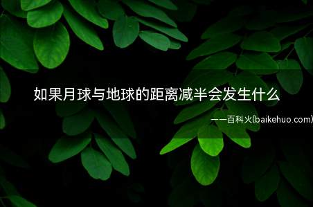 如果月球与地球的距离减半会发生什么