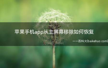 苹果手机app从主屏幕移除如何恢复(iOS 15苹果手机app从主屏幕移除可以在APP资源库中恢)
