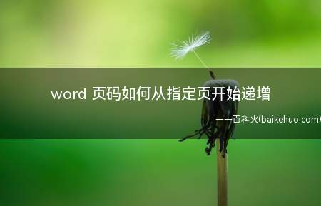 word 页码如何从指定页开始递增(word设置页码从指定页开始递增)