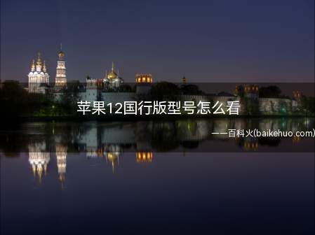 苹果12国行版型号怎么看