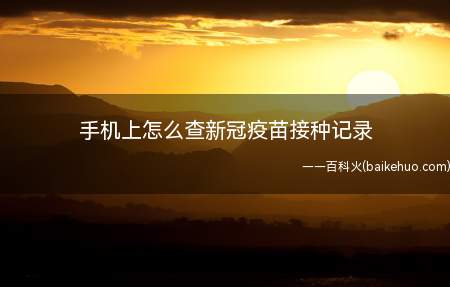 手机上怎么查新冠疫苗接种记录（华为Mate40 Pro系统）