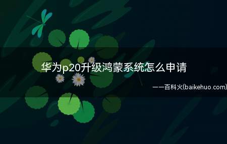 华为p20升级鸿蒙系统怎么申请(华为p20系统版本:EMUI 8)