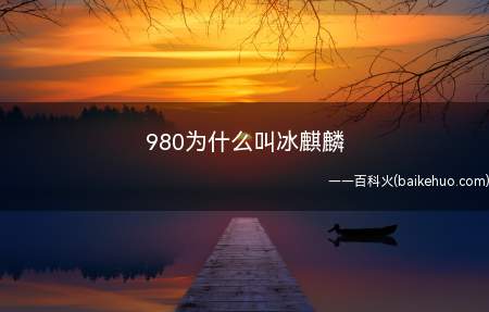 980为什么叫冰麒麟