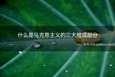 什么是马克思主义的三大组成部分(马克思主义的三大组成部分)