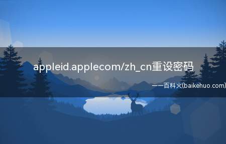 appleid.applecom/zh_cn重设密码(ASUS S340MC,iPhone 12系统)