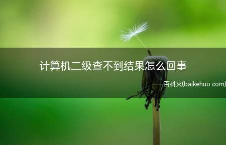 计算机二级查不到结果怎么回事(计算机二级成绩一般登录教育考试中心官方网站进行查询)