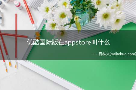 优酷国际版在appstore叫什么