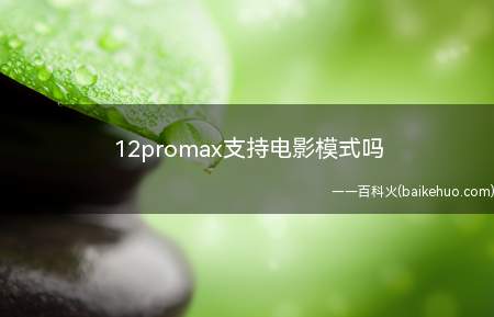 12promax支持电影模式吗