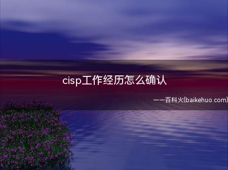 cisp工作经历怎么确认(CISP报考时需要填写什么?)