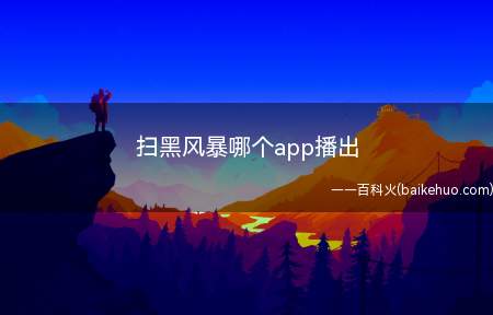 扫黑风暴哪个app播出