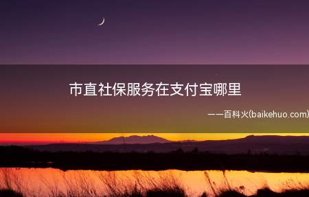 市直社保服务在支付宝哪里