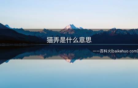 猫弄是什么意思(猫弄是什么意思?我们一起看看吧!)