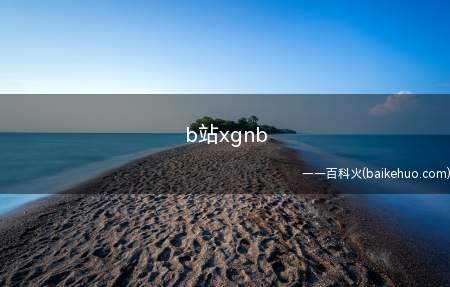 b站xgnb是什么意思(b站xgnb是什么梗?)
