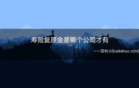 寿险复原金是哪个公司才有