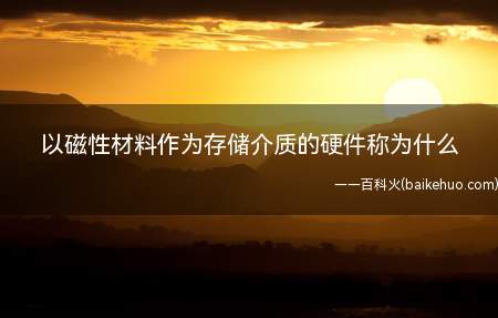 以磁性材料作为存储介质的硬件称为什么