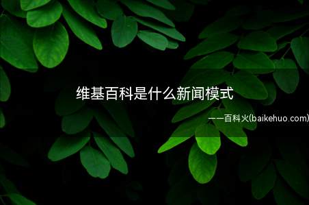 维基百科是什么新闻模式