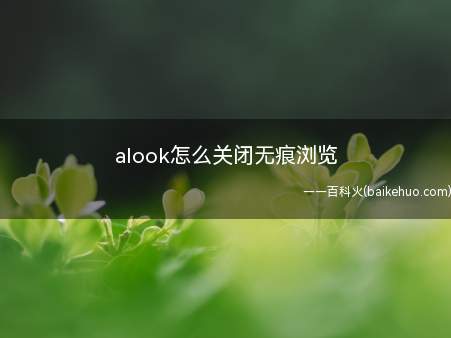 alook怎么关闭无痕浏览