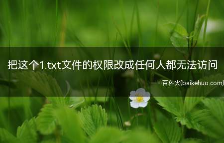 把这个1.txt文件的权限改成任何人都无法访问(如何把文件的权限改为任何人都禁止访问)