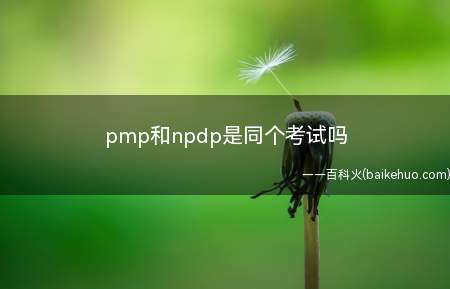 pmp和npdp是同个考试吗(pmp和npdp不是同一个考试)