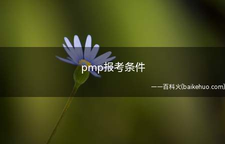 pmp报考条件(2019年项目管理培训)