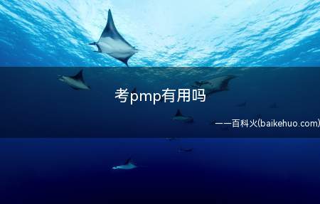 考pmp有用吗(考PMP有用,pmp认证作用如下)