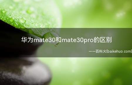 华为mate30和mate30pro的区别(HUAWEI Mate30)
