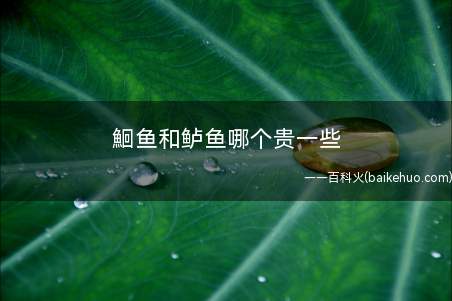 鮰鱼和鲈鱼哪个贵一些（鱼和鲈鱼哪个贵一些呢?）