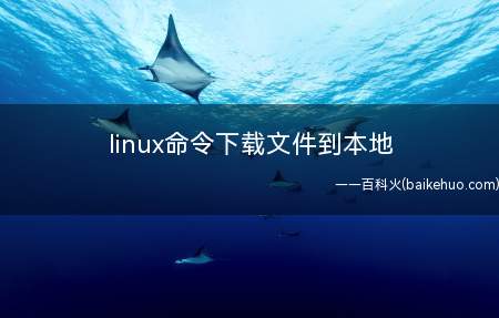 linux命令下载文件到本地（linux里面使用命令下载文件到本地总共有三个步骤）