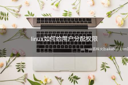 linux如何给用户分配权限(linux下给用户分配权限的步骤大致)